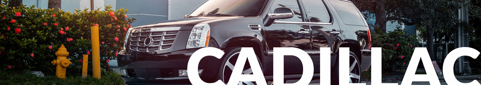 Cadillac Banner | Yates Collision
